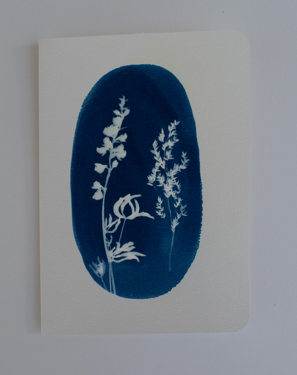 Oval Lupine Card