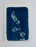 Square Lupine Card