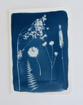 Square Wildflower Card