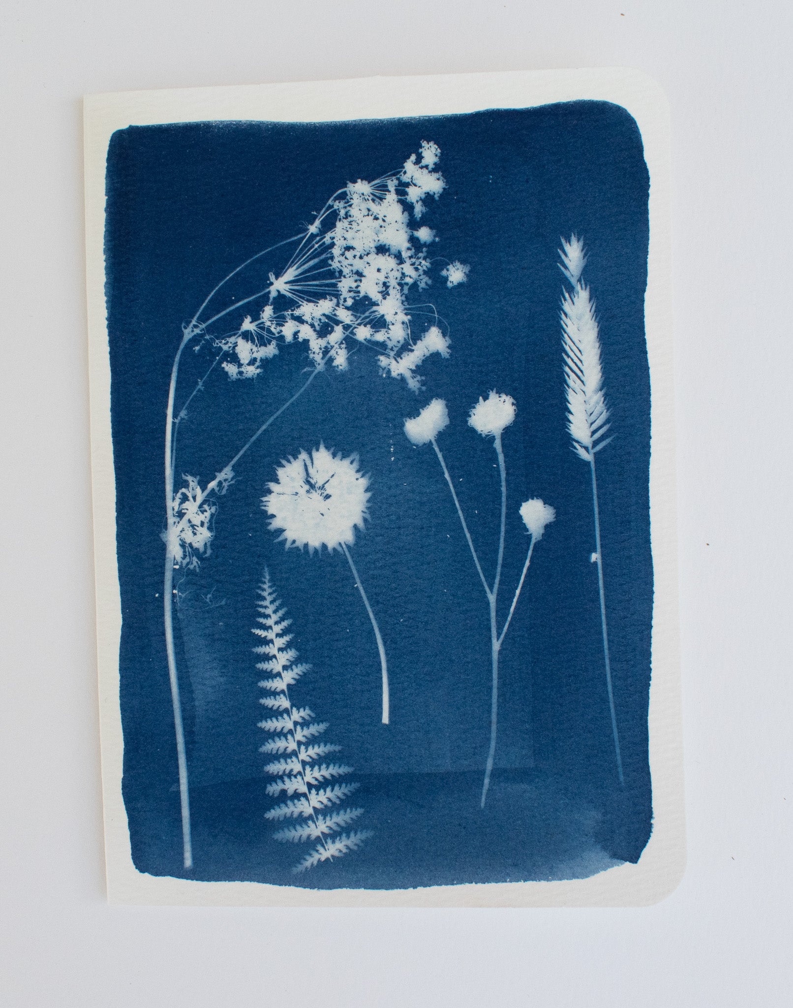 Square Wildflower Card