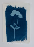Brushed Single Stem Card