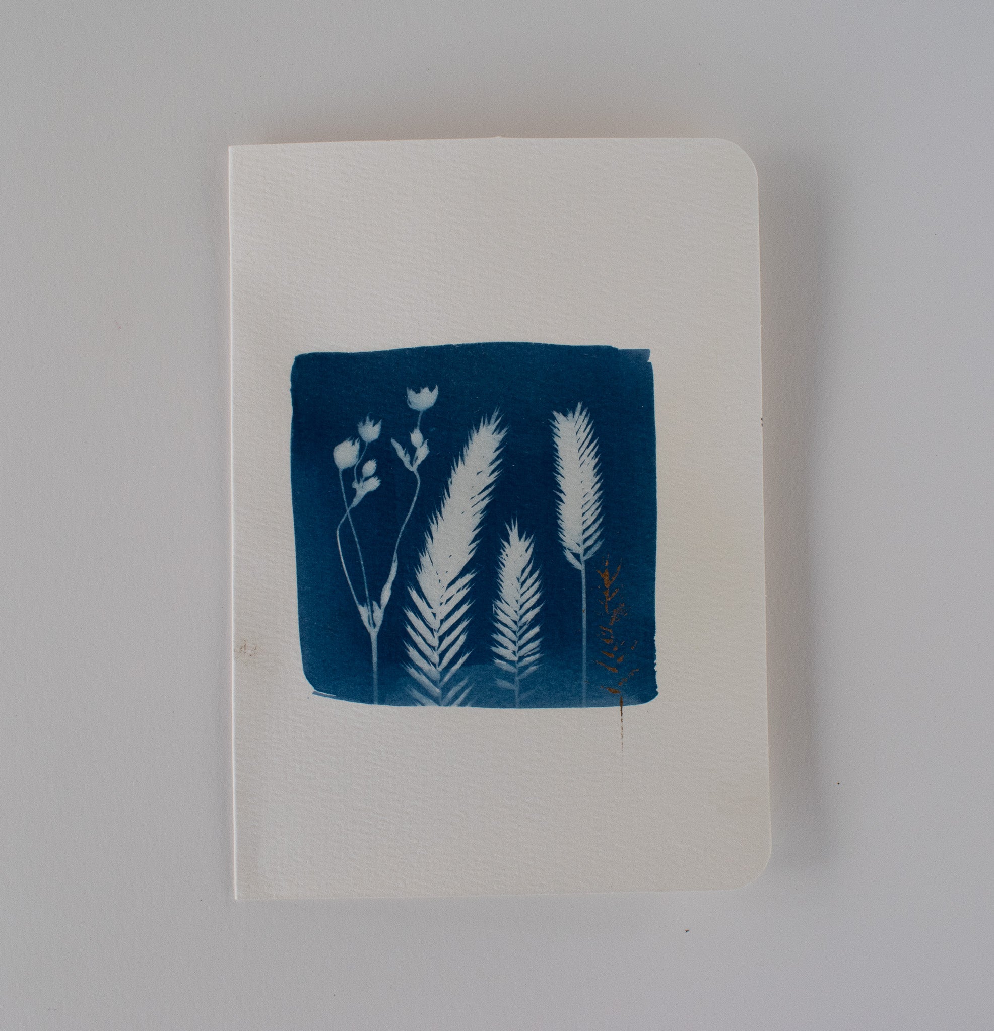 Square Gold Grass Card