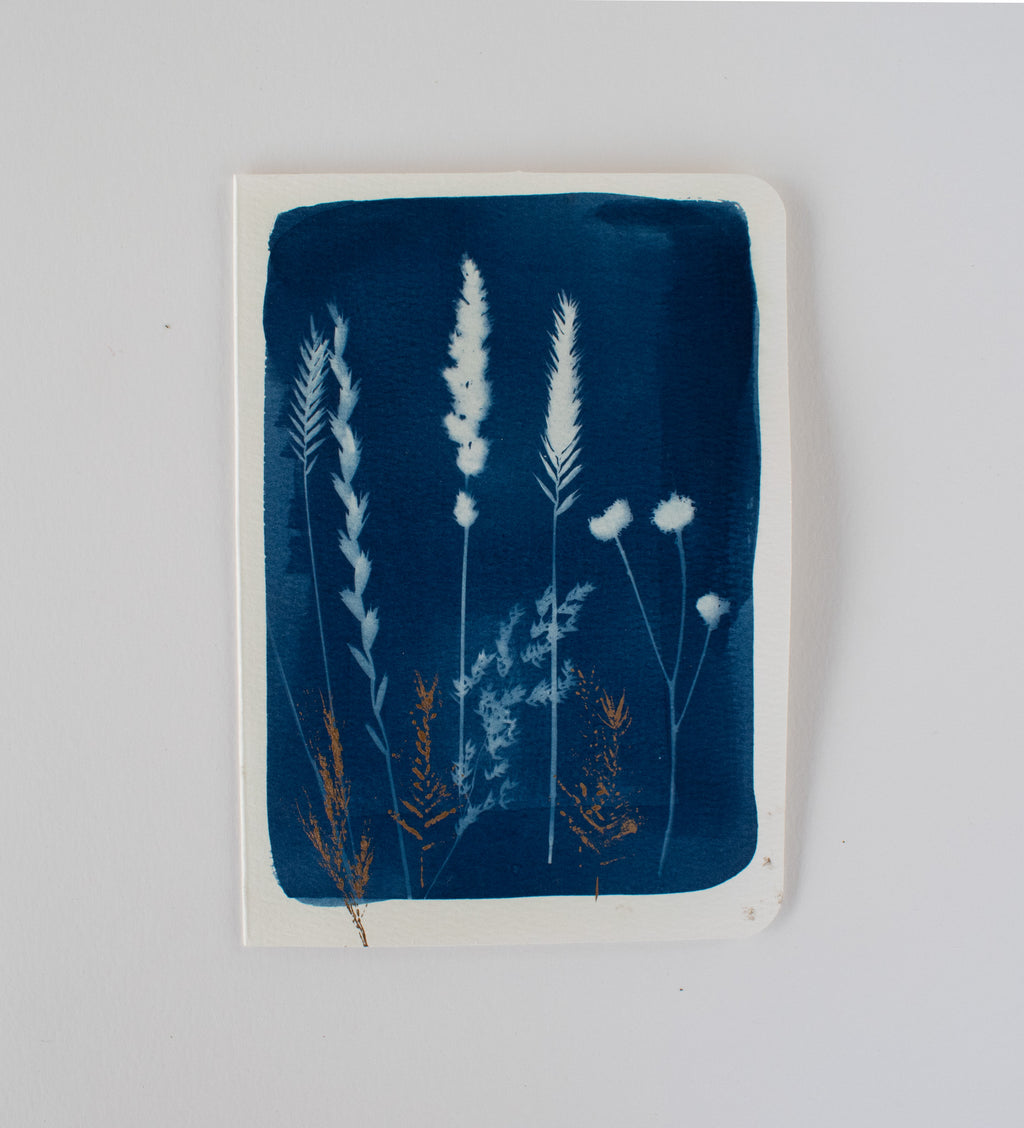 Square Gold Grasses Card