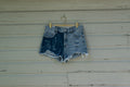 Wildflower Pacsun Short