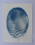 Fern Print Ⅰ