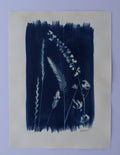 Wildflower Print Ⅰ