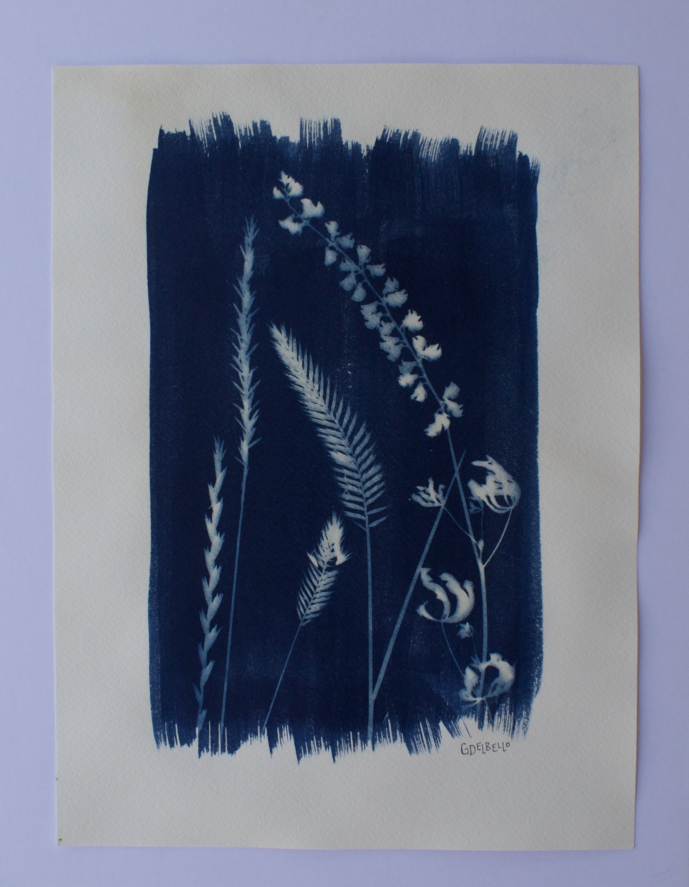 Wildflower Print Ⅰ