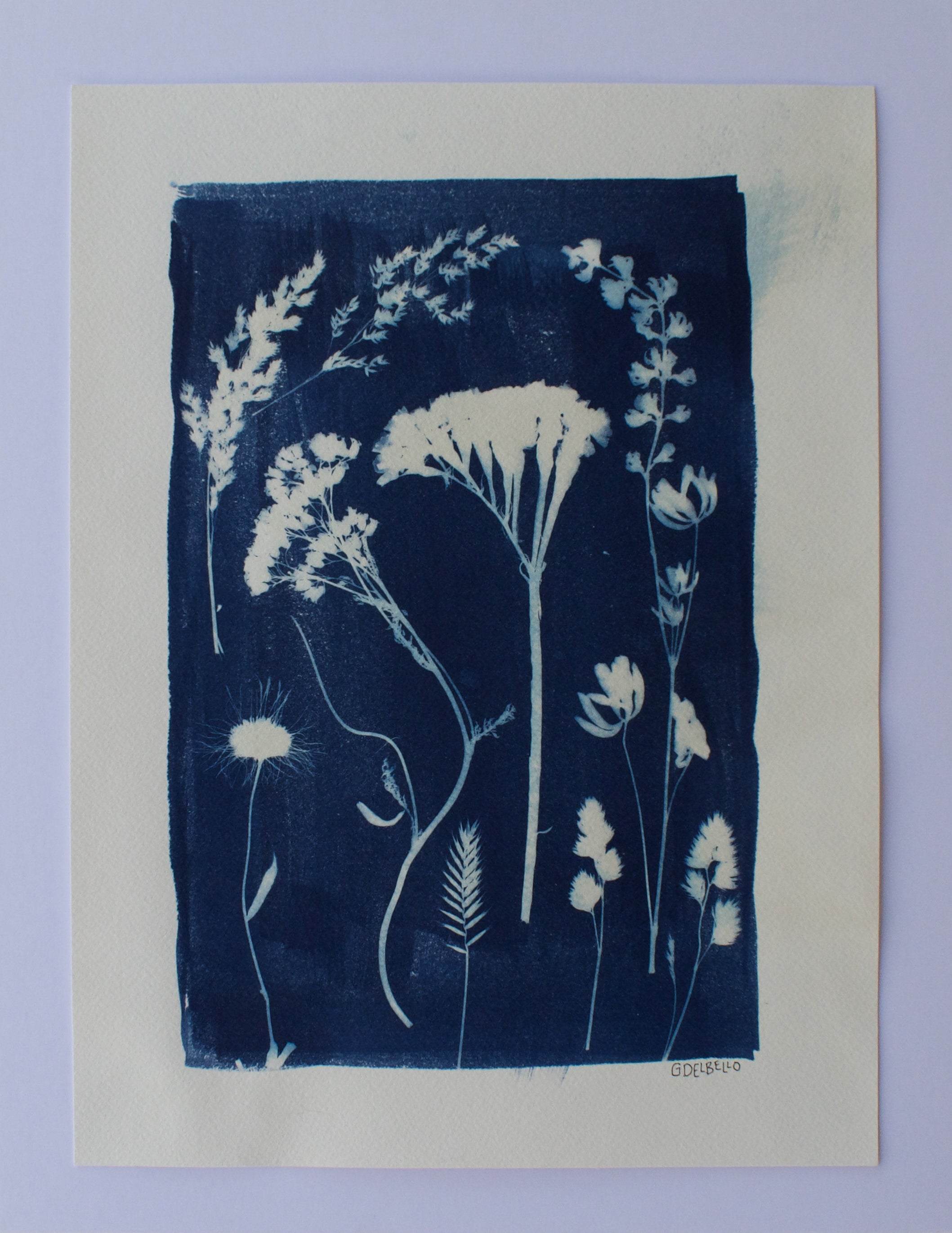 Wildflower Print Ⅱ