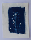 Wildflower Print Ⅲ