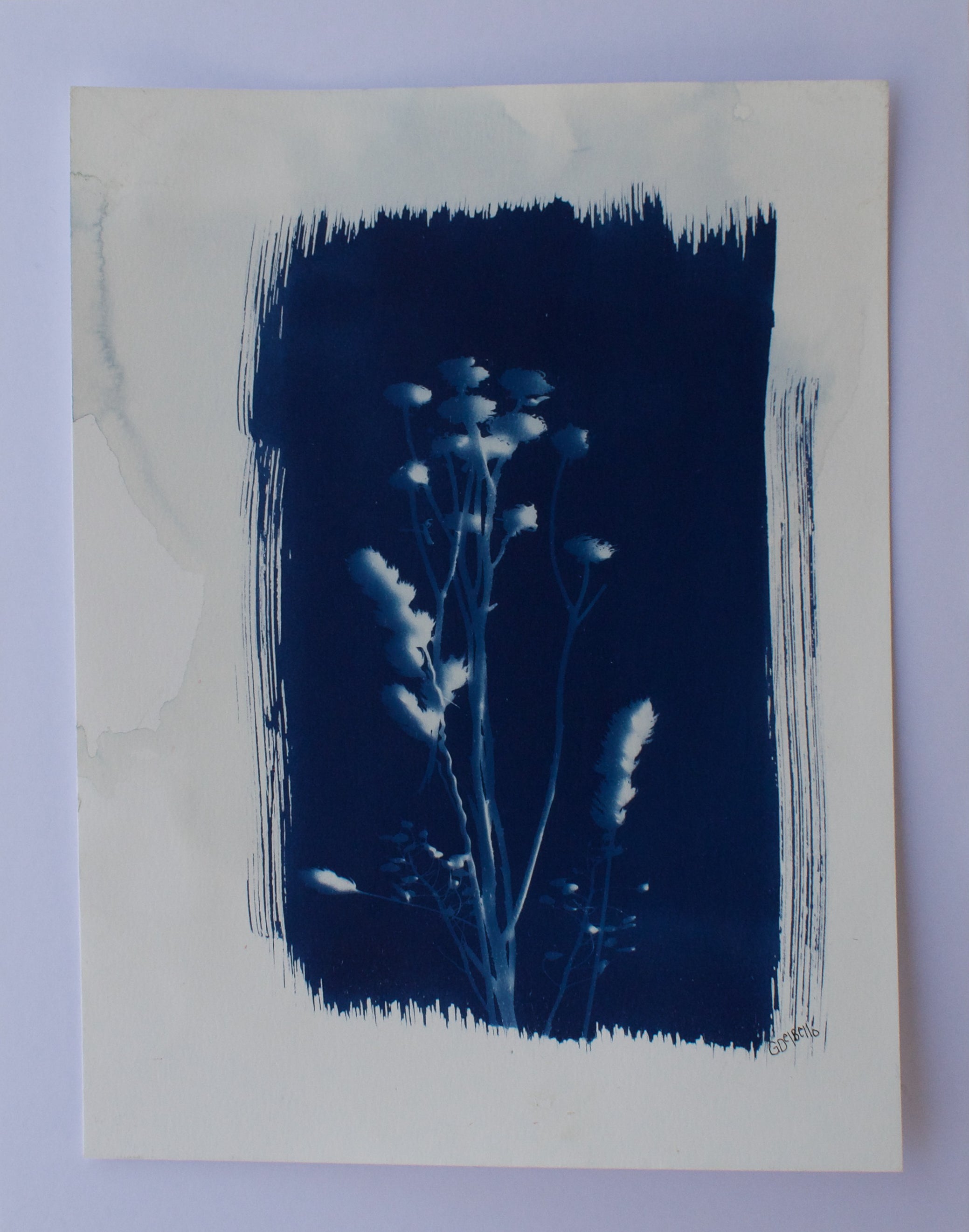 Wildflower Print Ⅲ