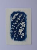 Wildflower Print Ⅳ