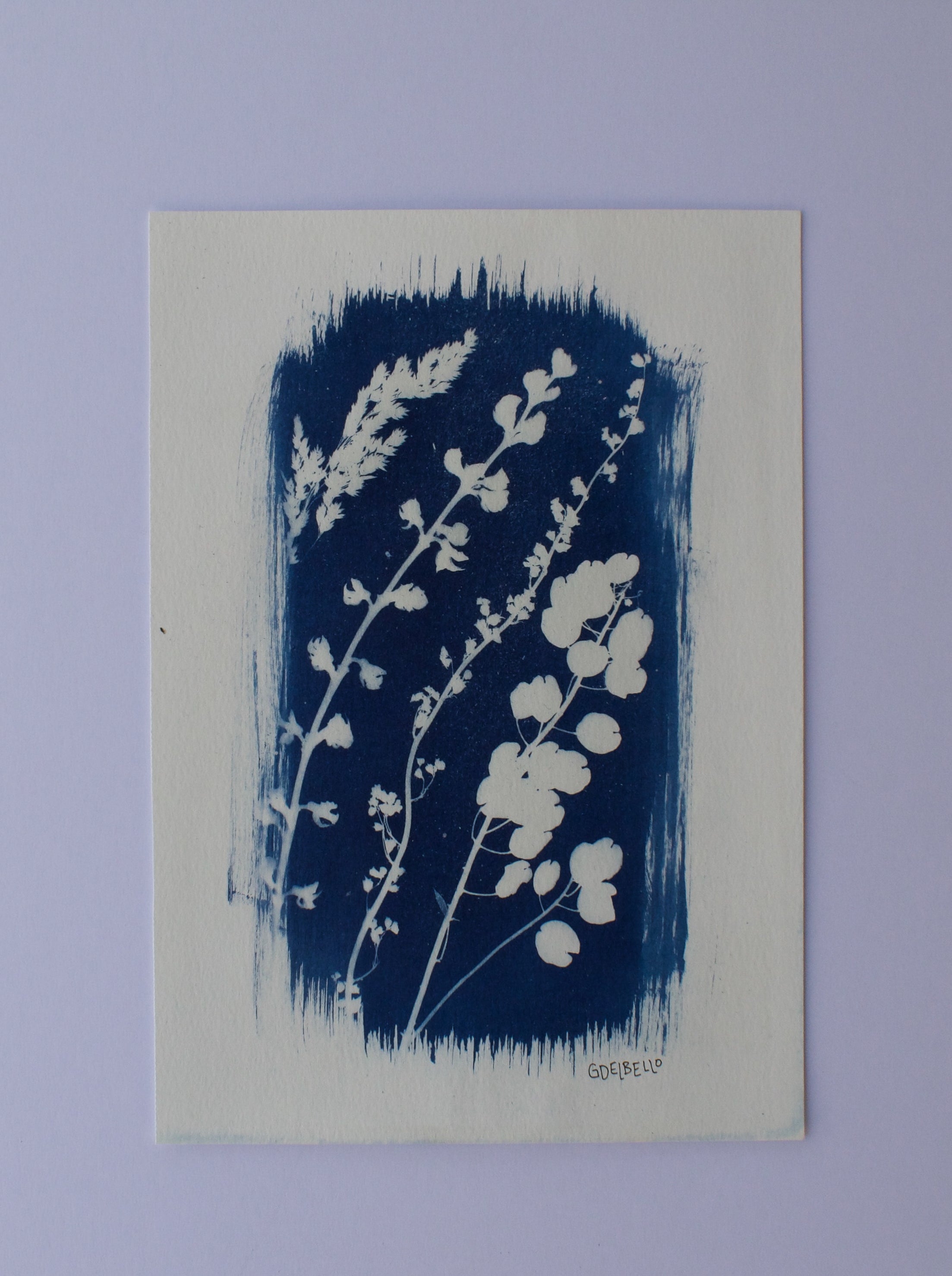 Wildflower Print Ⅳ