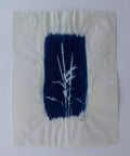 Wildflower Print Ⅵ
