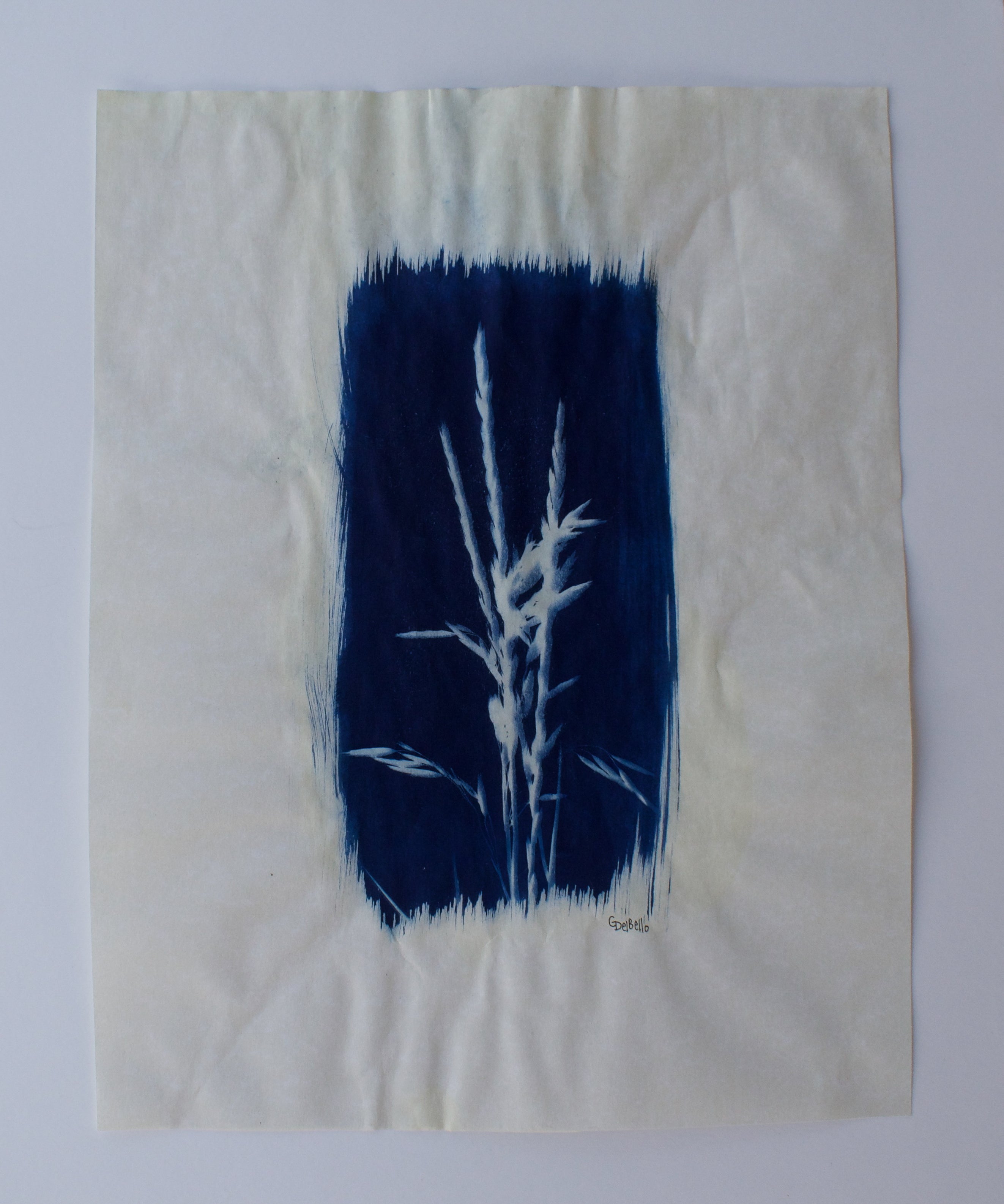 Wildflower Print Ⅵ