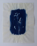 Wildflower Print Ⅷ