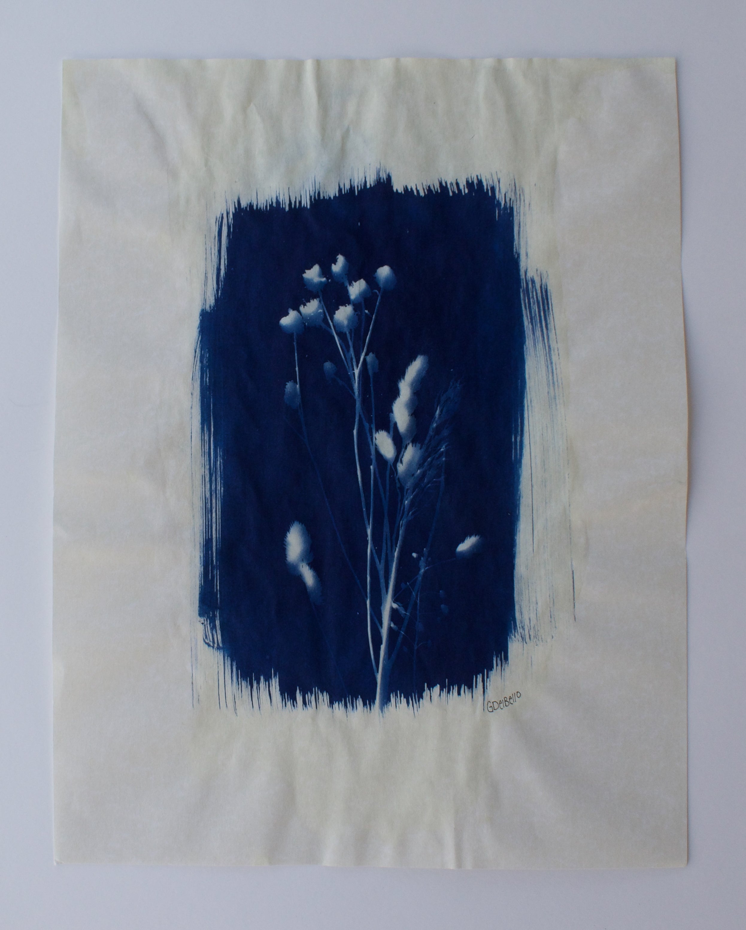 Wildflower Print Ⅷ